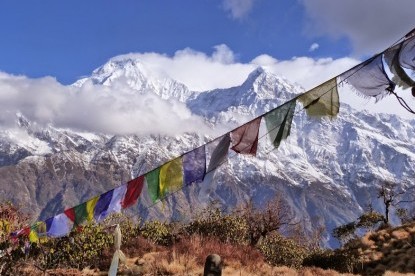 Serenity of Mardi Himal trekking 