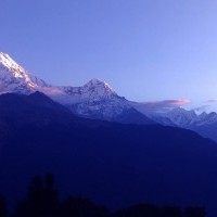 obs group, thirdpole treks, Annapurna purna panoroma, annapurna trekking, ghorepani trekking, poon hill trekking, expedition nepal, ghorepani ghandruk trekking,annapurna south